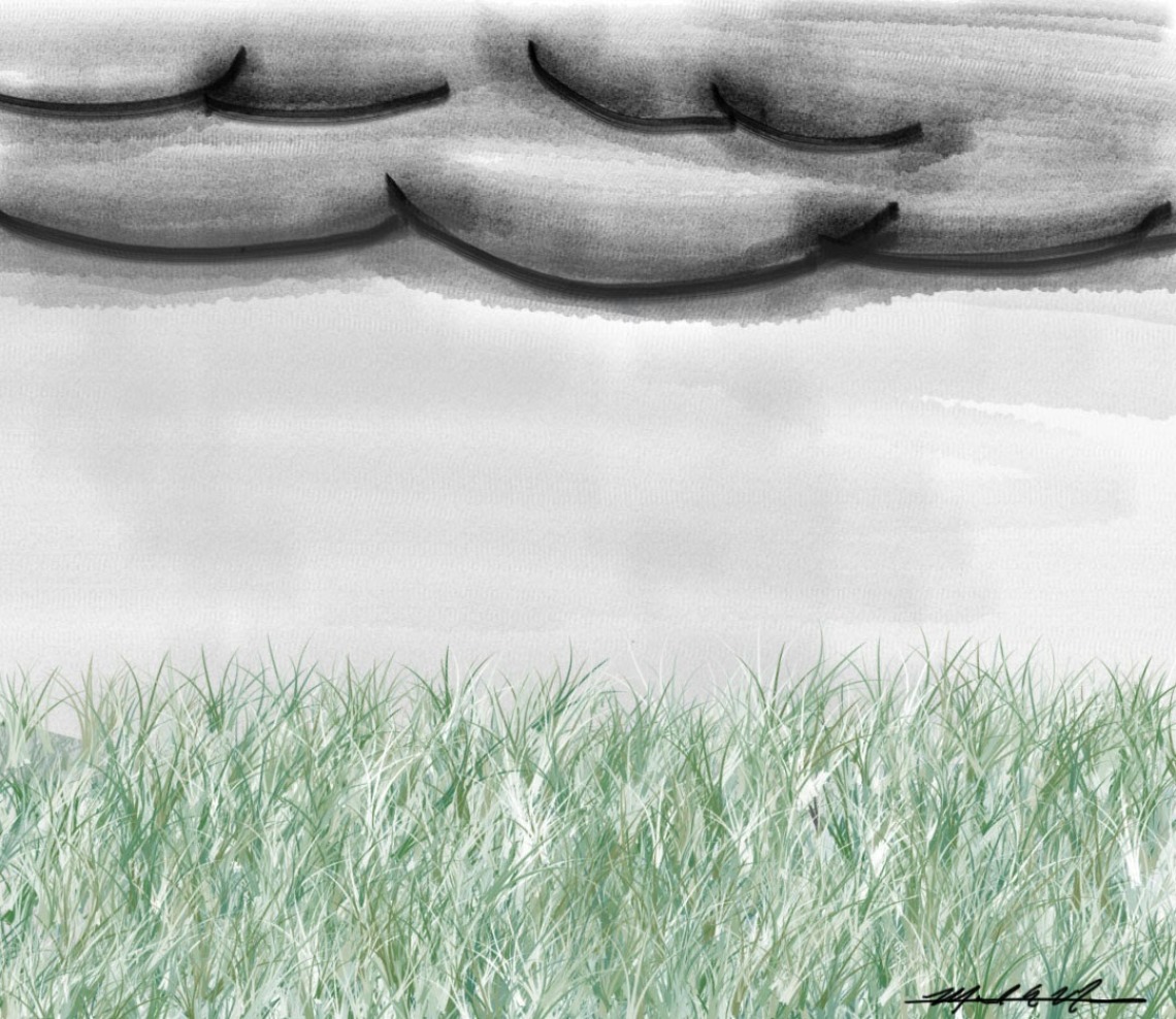 Drawing of a field
