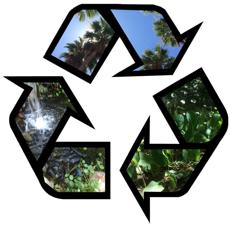 Recycle symbol with plant background