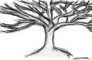 Drawing of a tree